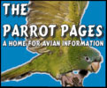 Parrot Pages Search Engine