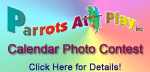 Parrots at play calendar photo contest!