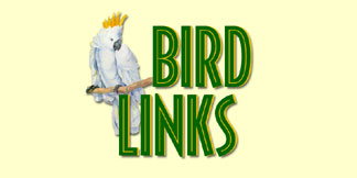 Check Out These Fun Bird Related LInks!