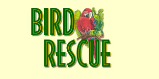 Learn About Bird Rescue Organizations!