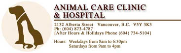 Animal Care Clinic & Hospital, Vancouver, B.C.