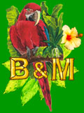 Birds and More Corner Logo