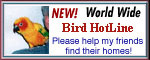 Bird Hotline: Join Today!