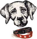 Advanced Dog Collars