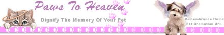 Paws to Heaven: Dignify the memory of your pet!