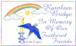 Rainbow Bridge Remembers Your Special Friends!