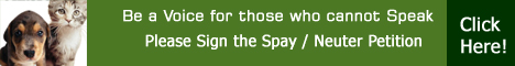 Please sign the PAW Spay & Neuter Petition. Help prevent needless deaths!