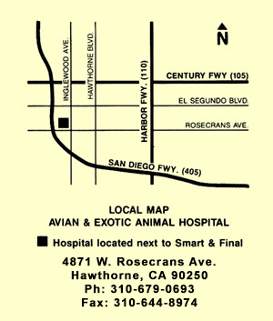 Map for Avian and Exotic Animal Hospital