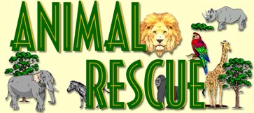 Learn About Animal Resuce Organizations
