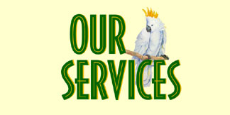 Birds and More Services Include: Grooming, DNA Sexing, Boarding